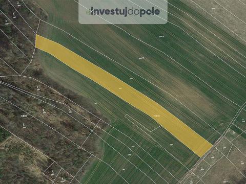 Prodej pole, Ondřejov, 4467 m2