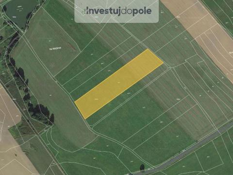 Prodej pole, Běhařov, 11102 m2