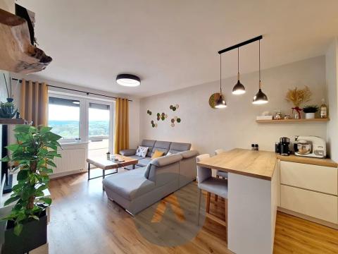 Prodej bytu 2+kk, Brno, Chvalovka, 46 m2