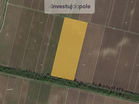 Prodej pole, Novosedly, 31401 m2