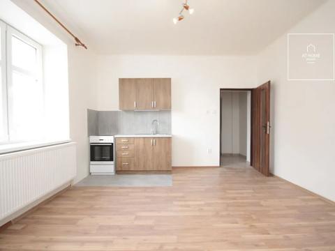 Pronájem bytu 1+kk, Blatná, Riegrova, 25 m2
