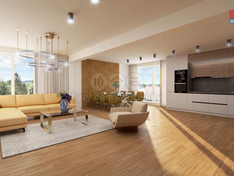 Prodej bytu 3+kk, Plzeň, Na Průhonu, 78 m2