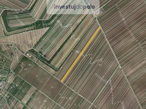 Prodej pozemku, Velké Bílovice, 3322 m2