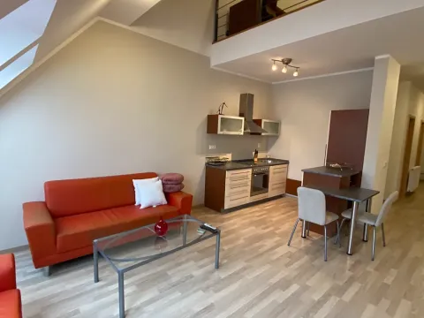 Pronájem bytu 2+1, Brno, Náplavka, 45 m2