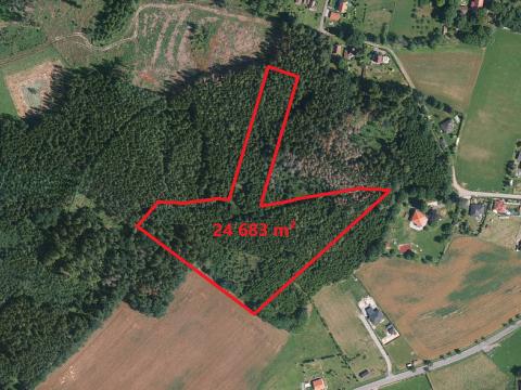 Prodej lesa, Heřmaničky, 24683 m2