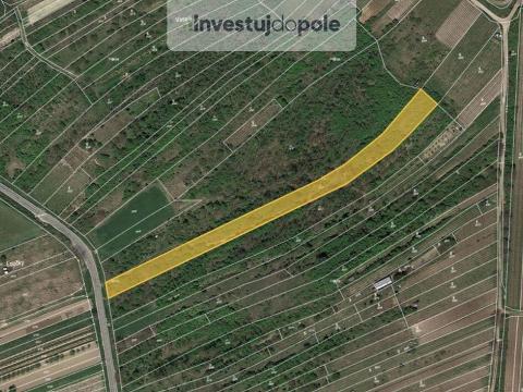 Prodej louky, Němčičky, 3570 m2