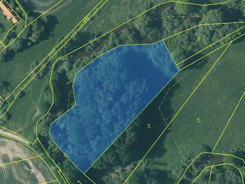 Prodej rybníku, Třeboň, 9420 m2