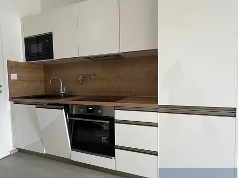 Pronájem bytu 1+kk, Lomnice, Dlouhá, 30 m2
