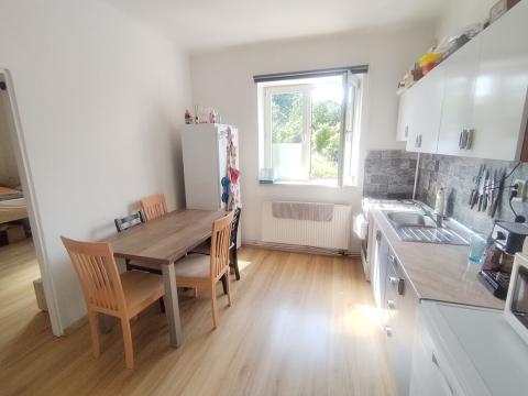 Pronájem bytu 1+1, Ostrava - Heřmanice, Parcelní, 45 m2