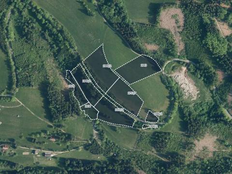 Prodej podílu pole, Vysoké nad Jizerou, 21482 m2