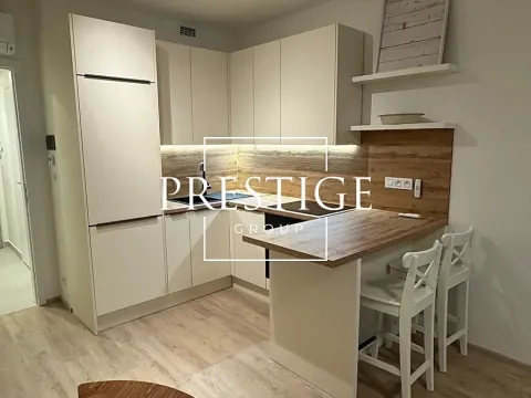 Pronájem bytu 1+kk, Praha - Žižkov, Tetauerova, 32 m2