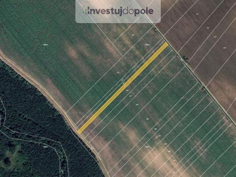 Prodej pole, Kostice, 1444 m2