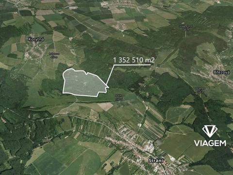 Prodej podílu lesa, Korytná, 41863 m2