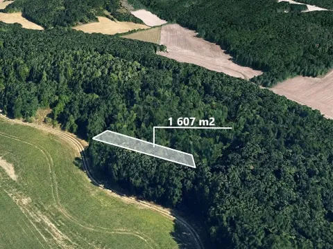 Prodej lesa, Moravské Bránice, 1607 m2