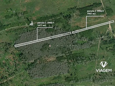 Prodej lesa, Stařeč, 2539 m2