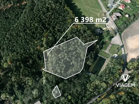 Prodej lesa, Veliny, 6398 m2