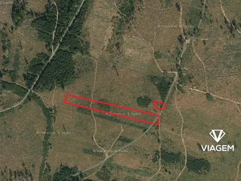 Prodej podílu lesa, Nová Hradečná, 709 m2