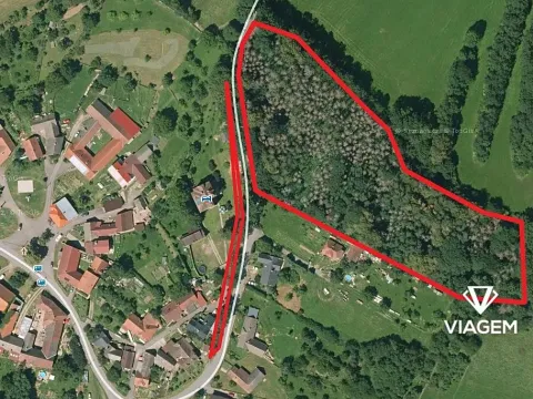 Prodej podílu lesa, Prosetín, 1270 m2
