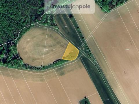 Prodej pole, Lhota, 1071 m2