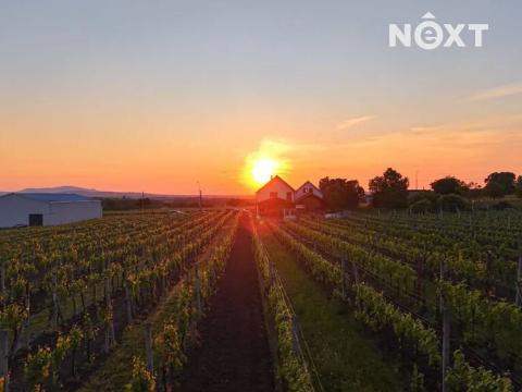 Prodej ubytování, Velké Bílovice, 322 m2