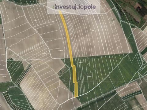 Prodej pole, Velenice, 1300 m2