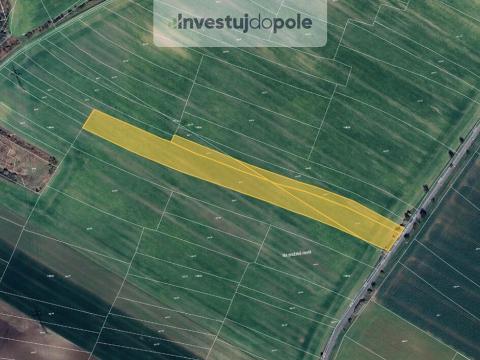 Prodej pole, Kostelec nad Labem, 24376 m2