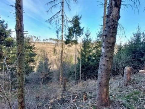 Prodej lesa, Onšov, 378 m2