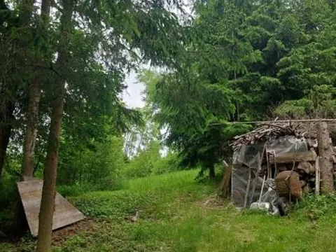 Prodej lesa, Červená Řečice, 2080 m2