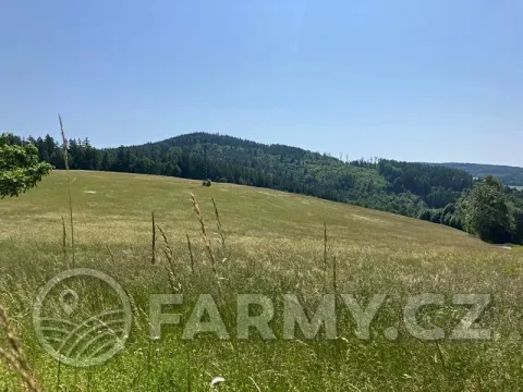 Prodej louky, Těchonín, 113108 m2