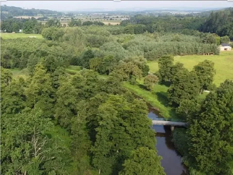 Dražba louky, Heřmaň, 1315 m2