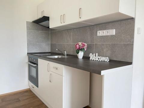 Pronájem bytu 2+kk, Litvínov, Valdštejnská, 40 m2