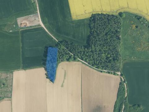 Prodej lesa, Králova Lhota, 3376 m2