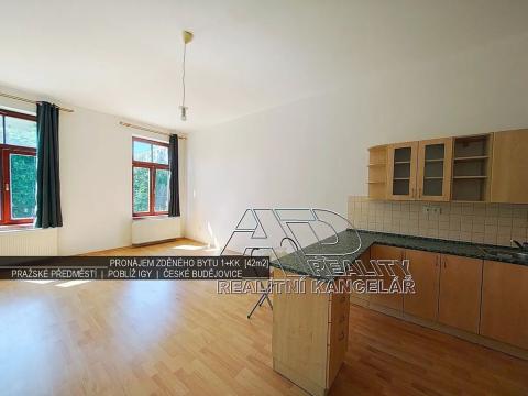 Pronájem bytu 1+kk, České Budějovice, Pražská tř., 41 m2