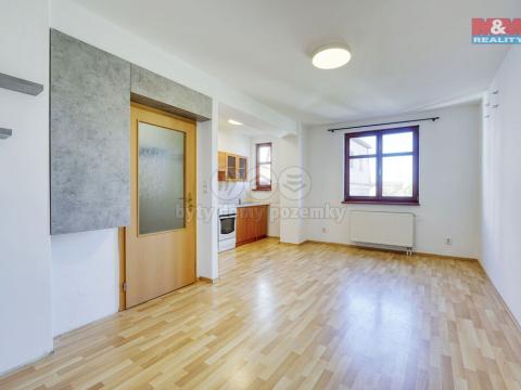 Pronájem bytu 1+kk, Město Touškov, U Špejcharu, 26 m2