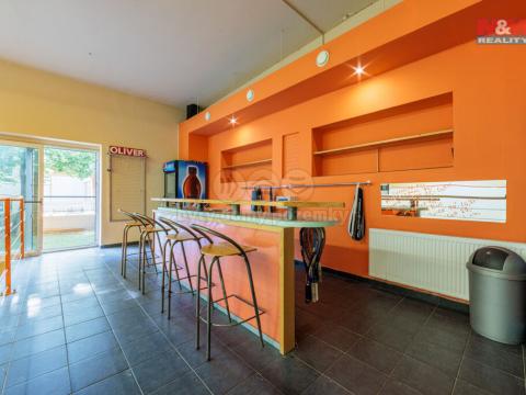 Prodej komerční nemovitosti, Karlovy Vary - Stará Role, Truhlářská, 464 m2