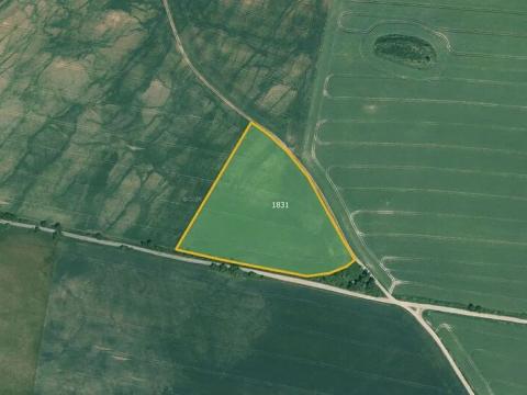 Prodej podílu pole, Čistá, 7450 m2