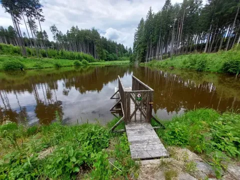 Pronájem rybníku, Brtnice, 6364 m2