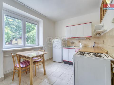Pronájem bytu 1+1, Plzeň, Rychtaříkova, 31 m2