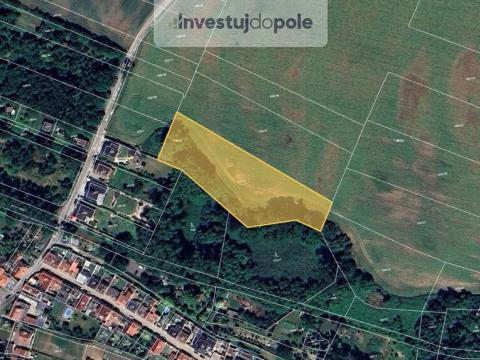 Prodej pole, Kostelec nad Labem, 2620 m2