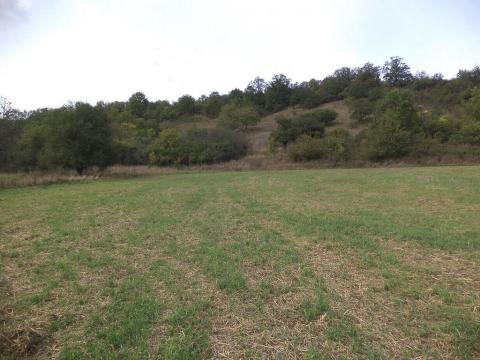Prodej pole, Řehlovice - Stadice, 22441 m2