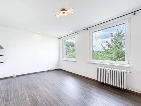 Prodej bytu 2+1, Ústí nad Labem, Kamenná, 53 m2
