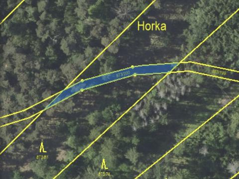 Prodej lesa, Kladruby, 189 m2