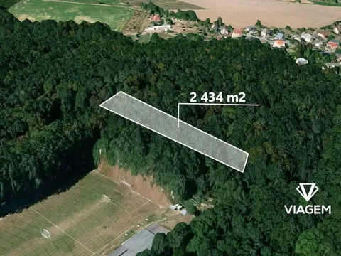 Prodej lesa, Hněvošice, 2434 m2