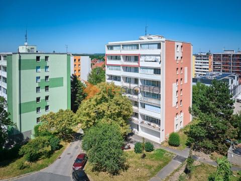 Prodej bytu 3+1, Brandýs nad Labem-Stará Boleslav - Brandýs nad Labem, Kaštanová, 75 m2