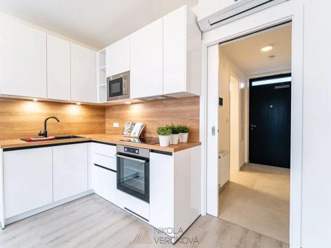 Pronájem bytu 1+kk, Brno, Opuštěná, 29 m2
