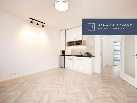 Pronájem bytu 1+kk, Brno, Cejl, 29 m2