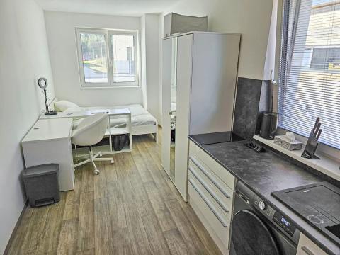 Pronájem bytu 1+kk, Mladá Boleslav, 29 m2