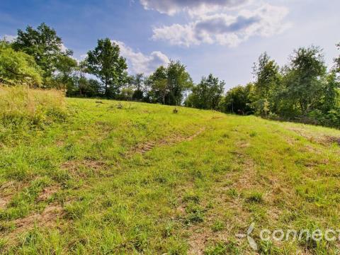 Prodej pozemku, Český Šternberk, 2282 m2