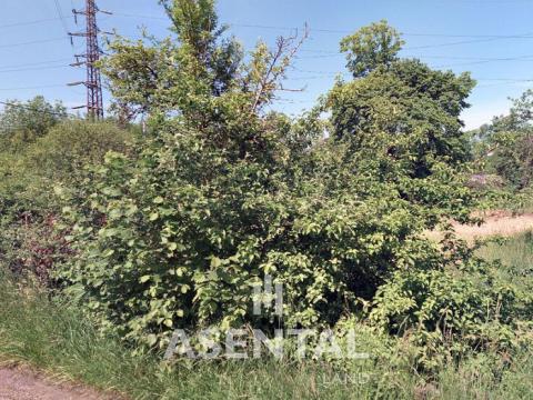 Prodej pozemku, Karviná - Lázně Darkov, U Potoka, 1078 m2