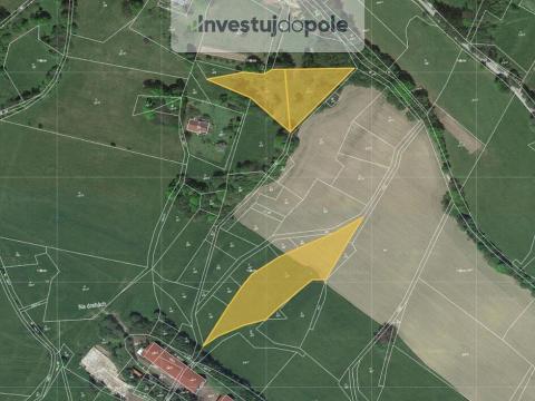 Prodej louky, Benecko - Mrklov, 1960 m2